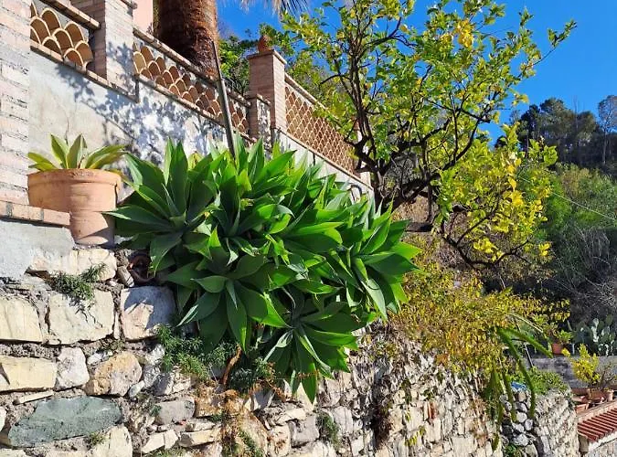 Kate 타오르미나